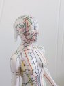 Mannequin des méridiens utilisé en Shiatsu et acupuncuture